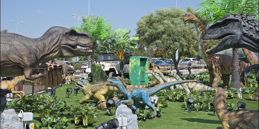 Interactive science exhibits and educational displays for all ages.