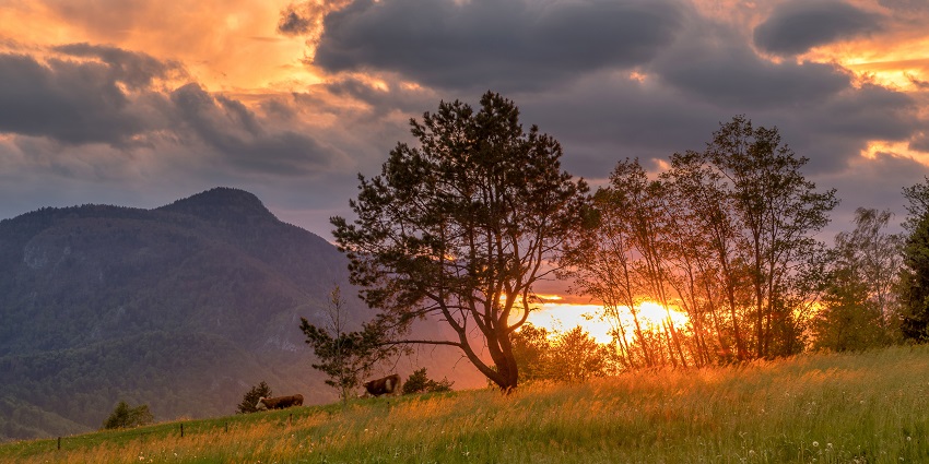 Stunning view of sunset on the meadows - One of the best places to visit in Chakrata
