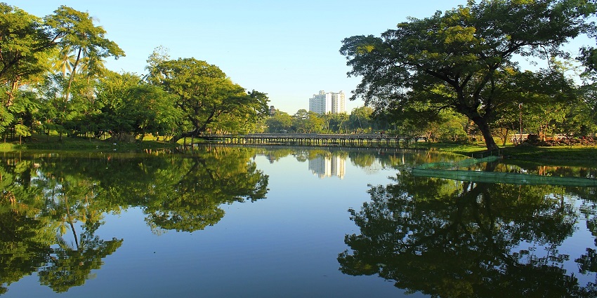 Scenic park in Yangon with a large lake and greenery.