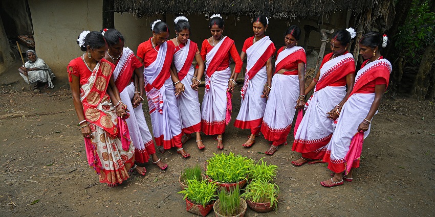 Bundles of crops stacked high mark the harvest festivities in Jharkhand