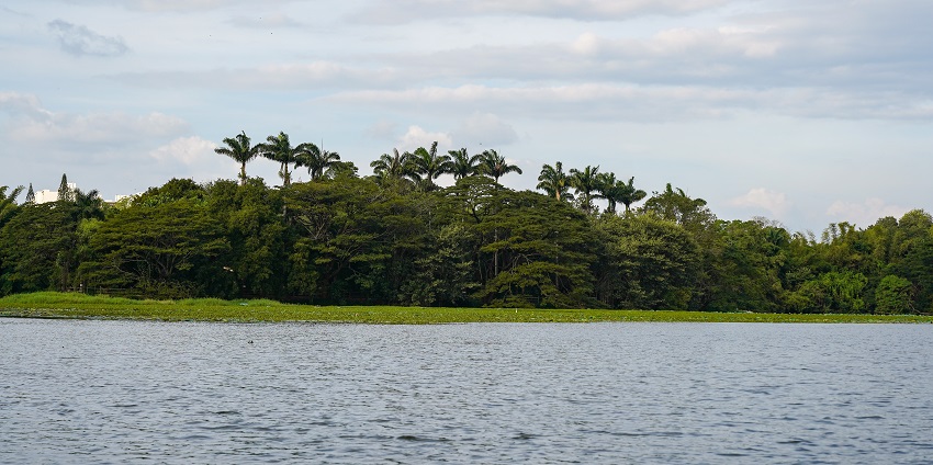 A wide view of the serene Karanji Lake in Mysore in Karnataka, as suggested by Mysore travel guide.