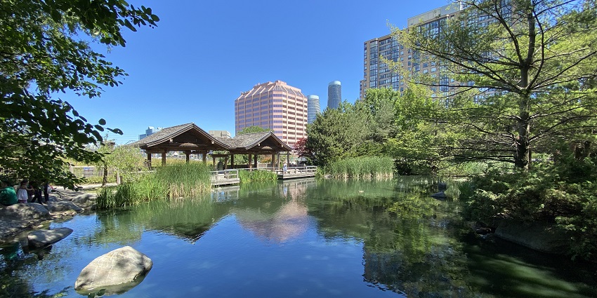 A Japanese-style park in Mississauga, featuring tranquil ponds and gardens, is a must-visit as per the Mississauga travel guide