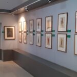 The painting gallery of Nagpur Central Museum that exhibits various artworks of the artists.