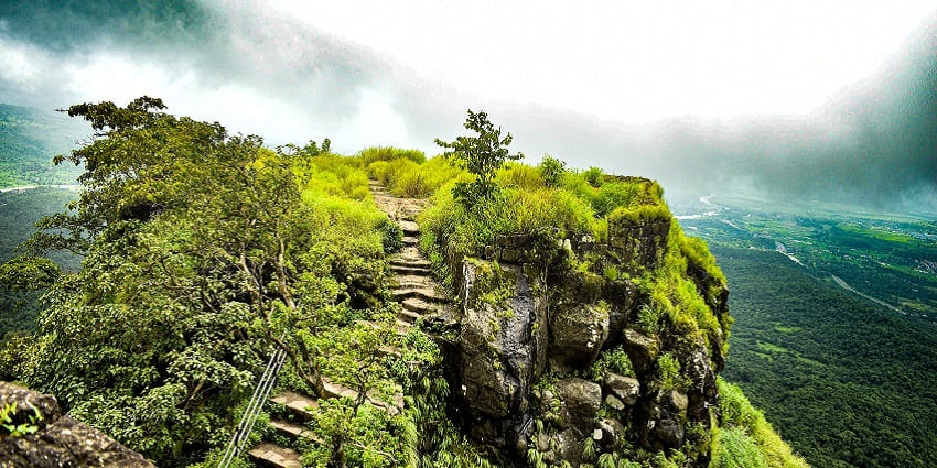 Karnala Bird Sanctuary entrance surrounded by trees and birdwatching platforms.