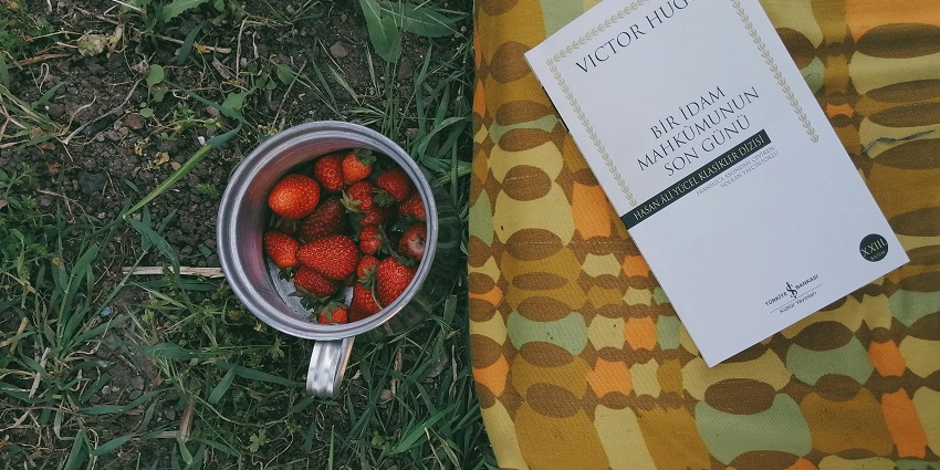 A visitor reading a book and eating strawberries at the famous Katashil Picnic Spot.