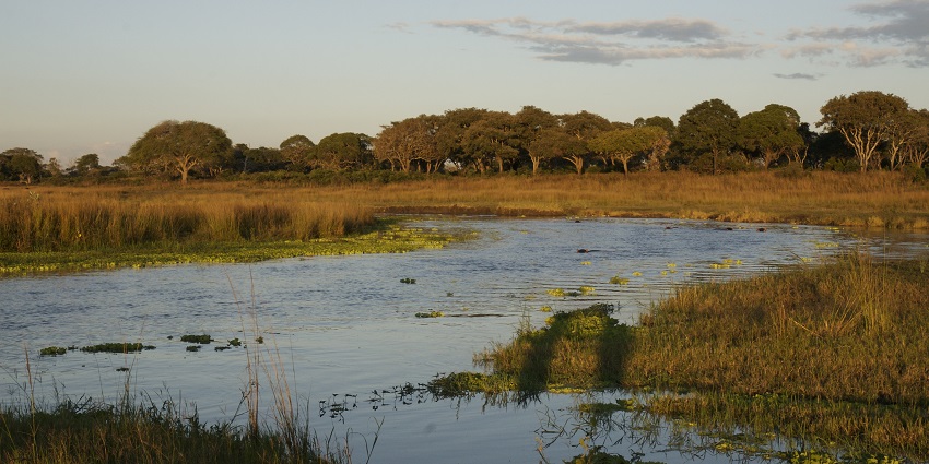 Katavi National Park in the evening with a small river, dry bushes and distant trees