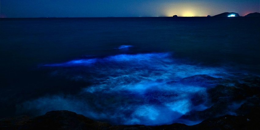 Beautiful view of the Bioluminescent Waters In Titusville, offering a unique experience.