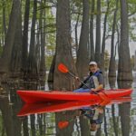 An image showing a boy kayaking through calm waterways in a famous kayaking place in the USA.