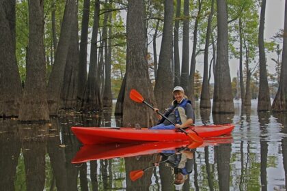 An image showing a boy kayaking through calm waterways in a famous kayaking place in the USA.