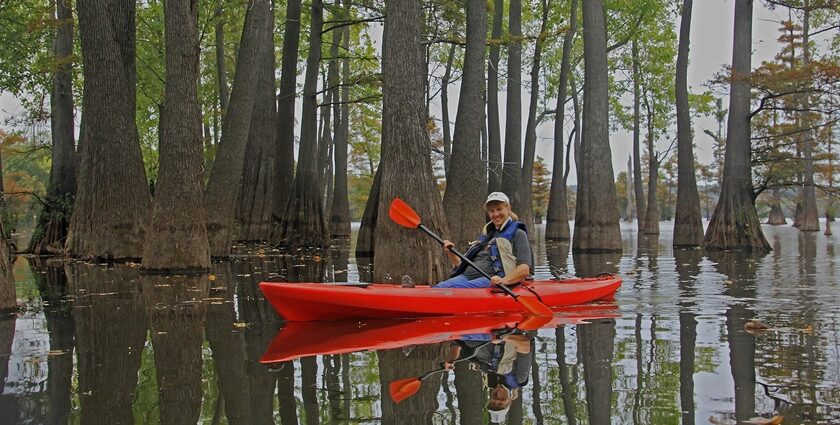 An image showing a boy kayaking through calm waterways in a famous kayaking place in the USA.