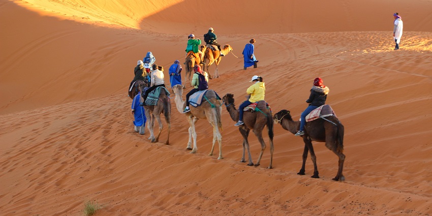 Scenic desert region with vast dunes and unique wildlife.