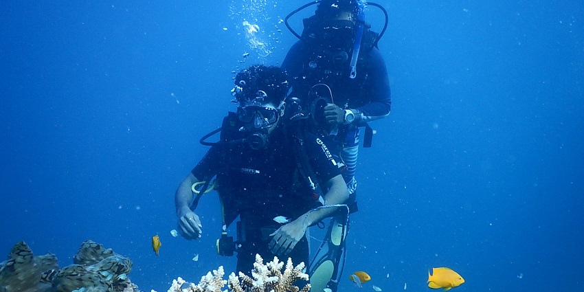 Underwater experience to enjoy marine life.