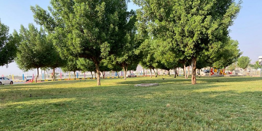 Spacious park in Medina, perfect for leisure and outdoor activities.