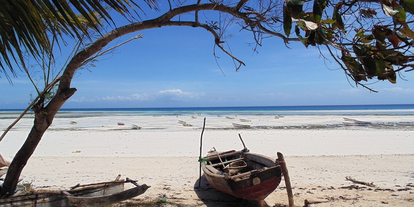 A view of the Kizimkazi Beach, which has a boat placed under a tree near the shore.