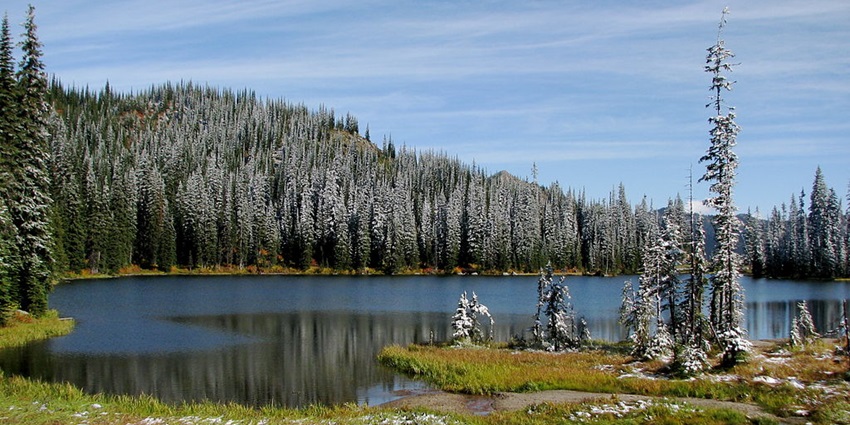 A view of a good mountain in Kootenay National Park near the Shambhala Music Festival.