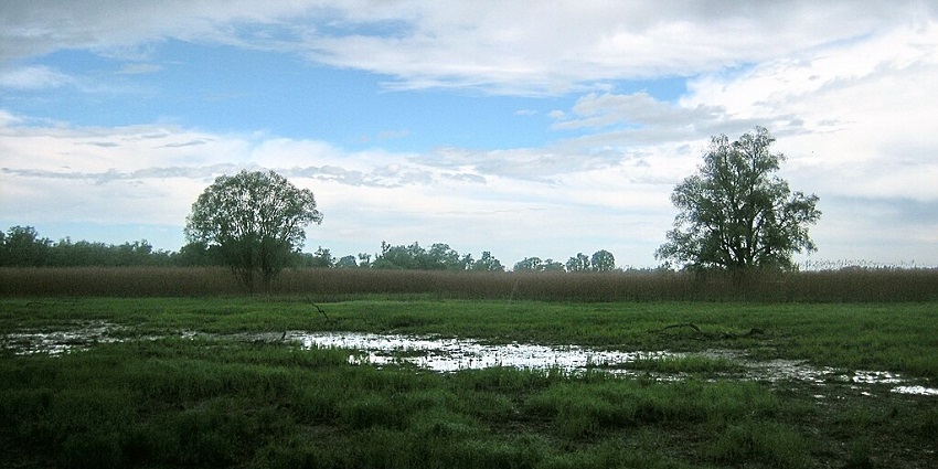 A picture of Kopački Rit Nature Park, which is one of the best places to visit in Croatia
