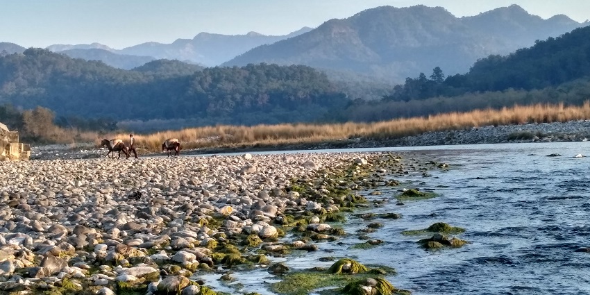 Serene River flowing through Corbett, offering peaceful views and adventures