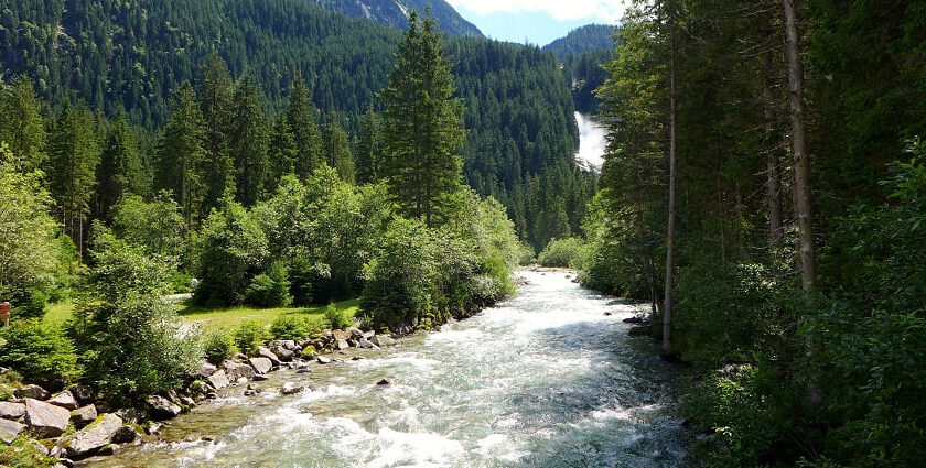 A view of Krimml Waterfalls cascading down rocks surrounded by lush green forest in Austria.