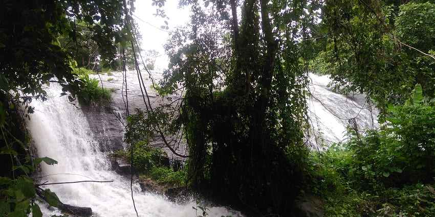 Picturesque waterfalls surrounded by lush greenery and scenic beauty.