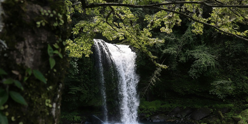 Escape to the untouched wilderness of Kuskem Waterfall, a haven for nature lovers.