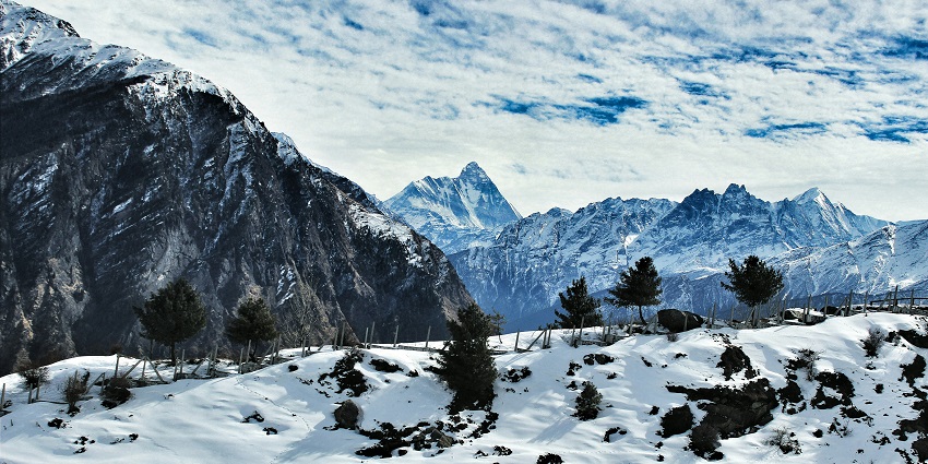 Kwani Bugyal is one of the most scenic places to visit in Auli for every traveller.