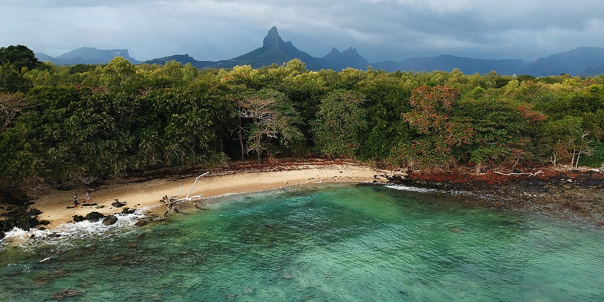 A serene view of the beach, which consists of trees near the shoreline and white sand.