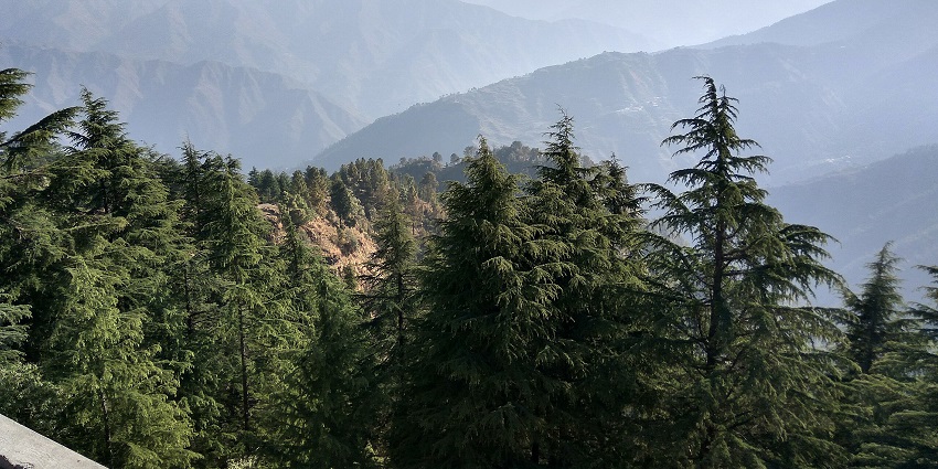 Laal Tibba is one of the most breathtaking places to visit in Landour for travellers.