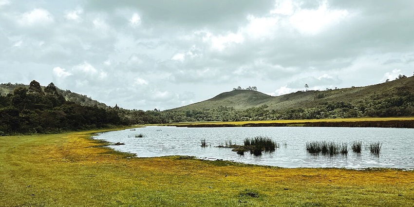Lake Ranzi with grass growing on it and small hills of Kilimanjaro at a far distance