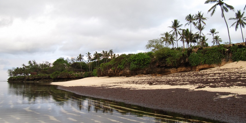 Indian Ocean shoreline and land with palm trees during sunrise near Mombasa in Kenya