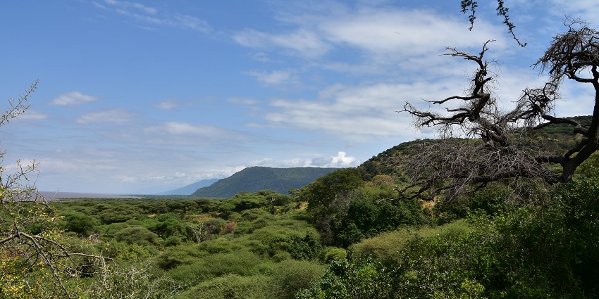 Lake Manyara National Park with dense forest, lush greenery and distant mountains