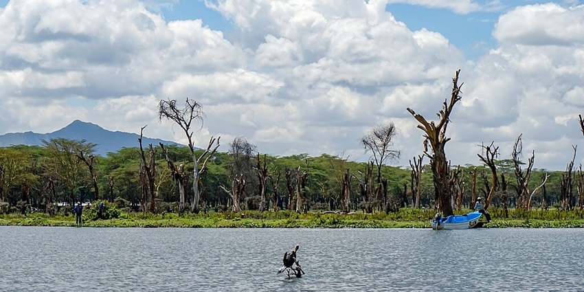 Lake Naivasha with a man sitting on a boat on the other side of the lake and green land