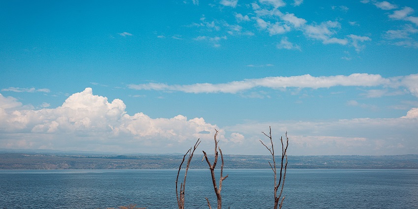 Lake Nakuru National Park with the three dried-out trees and Lake Nakuru in the background.