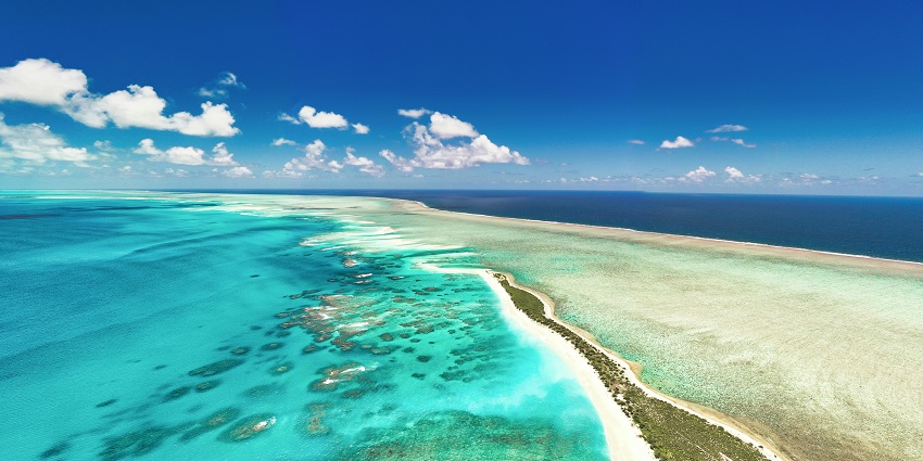 A distant view of Le Morne Beach surrounded by trees and deep blue-coloured water body.
