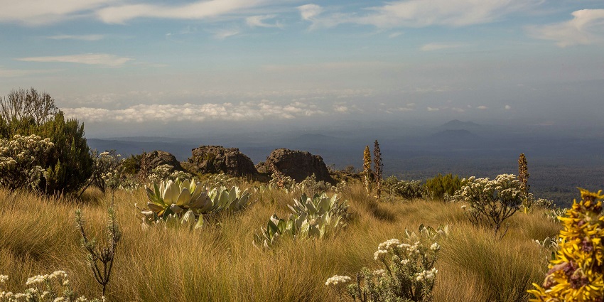 The national park is situated within the central region of Kenya, across Kirinyaga County.