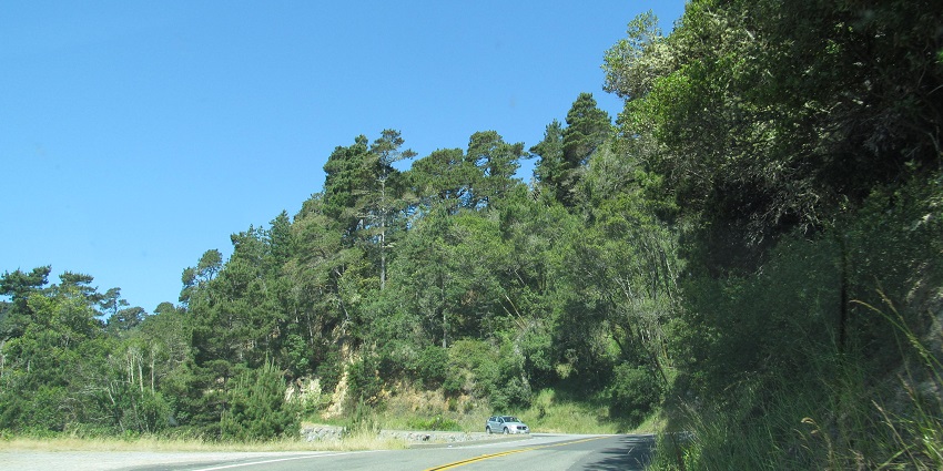 Snapshot of the California landscape passing through the Los angles city