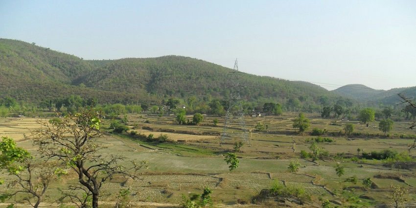 Traditional farming practices shine during Jharkhand’s harvest season