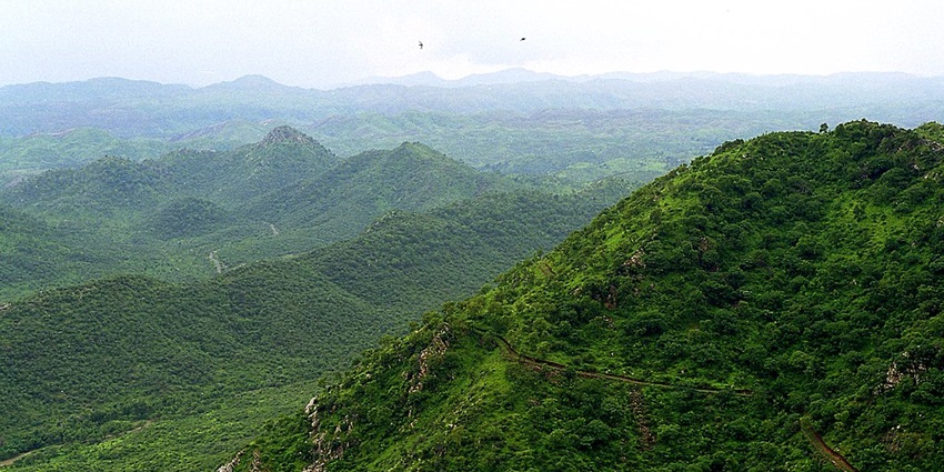 Climb, conquer, and celebrate achievements with Gurgaon’s climbing spots.