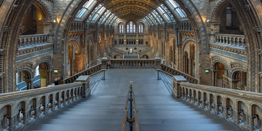 An image of the main hall of the Natural History Museum located in London, England.