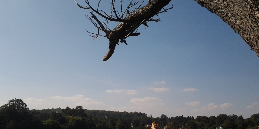 Yelagiri hill station and Lake features scenic drives and pleasant weather