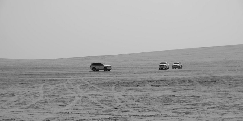 Desert Safari in Doha offers adventures with dunes, inland sea, and views