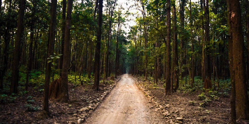Jim Corbett National Park in Uttarakhand offers wildlife and scenic beauty