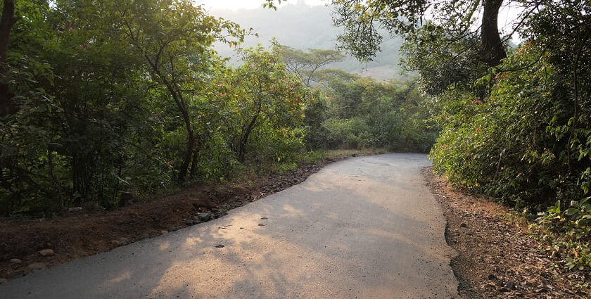 Lonavala travel guide highlights the scenic hill station in Sahyadri's lush green landscapes.