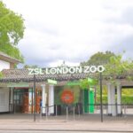 Image of unidentified people work at ZSL London Zoo London UK