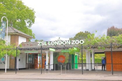 Image of unidentified people work at ZSL London Zoo London UK