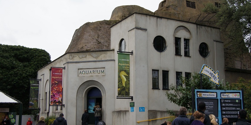 An image showing the London Zoo aquarium house, a popular destination near Tussaud Museum