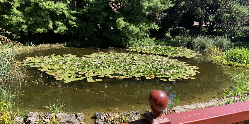 A view of lush, rich gardens, which is one of the best things to do in Zagreb.