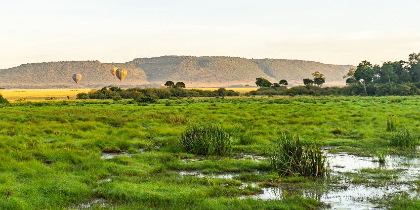 Maasai Mara National Reserve with its bright green grass and flying hot air balloons.