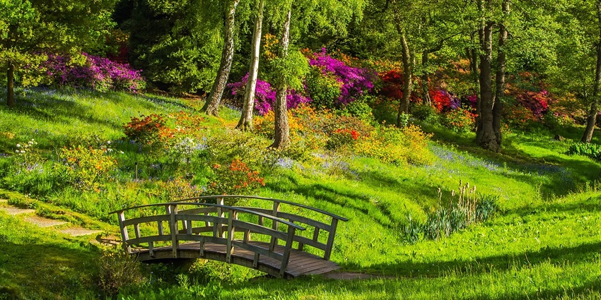 An image of a park, similar to MacDonald Island Park, a popular place near Fort McMurray
