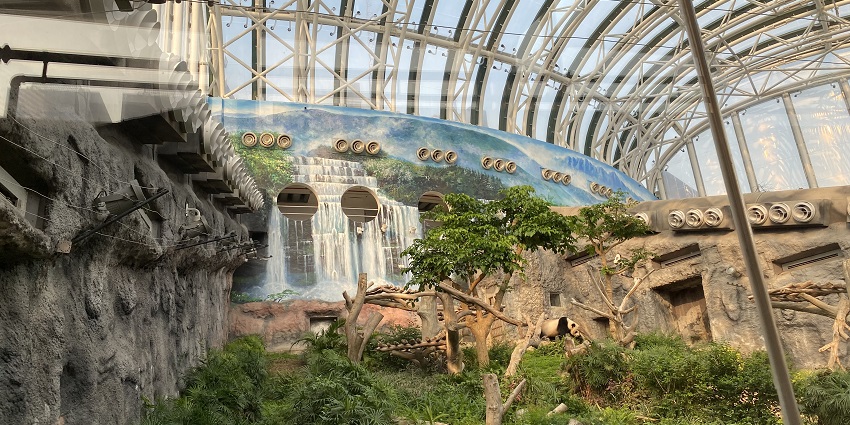 Macao Giant Panda Pavilion is a lively tourist attraction you can explore on your trip.
