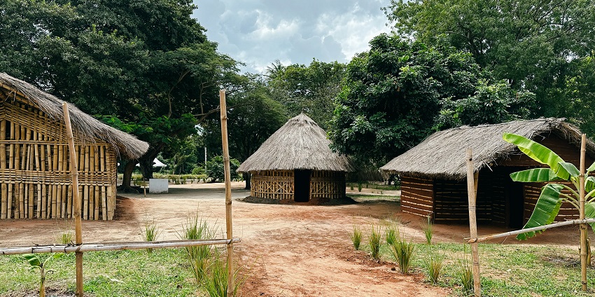 Multiple houses in a village with shelters made up of bamboo wood and grass roofs